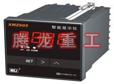 溫度表、數(shù)字顯示儀、濕度表