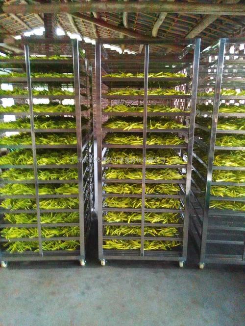 黃花菜烘干機、黃花菜烘干設備、黃花菜干燥機、黃花菜干燥設備、
